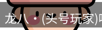 龙八·(头号玩家)唯一官方网站